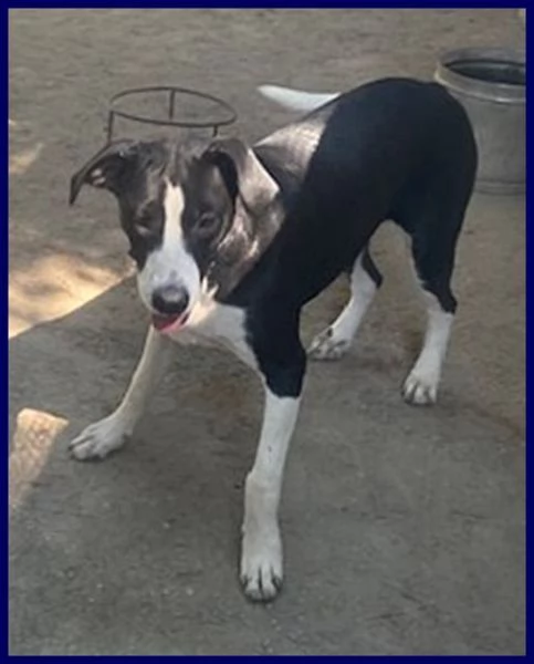 KLIZIA sui 3 anni allegra e simpatica | Foto 1