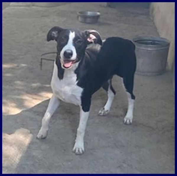 KLIZIA sui 3 anni allegra e simpatica | Foto 0