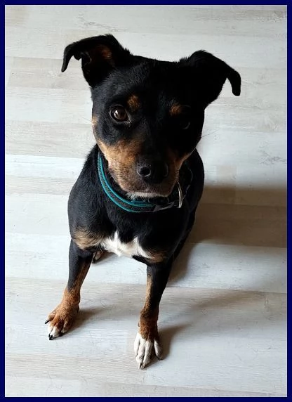 KIMBO dolcissimo piccoletto | Foto 0