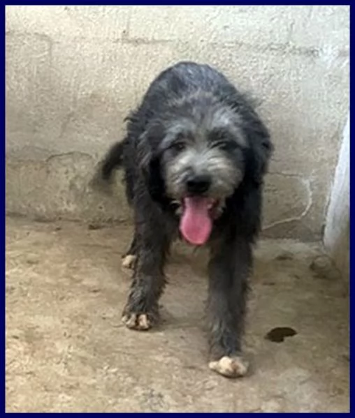 LAGUNA giovane aspetta la sua famiglia | Foto 1