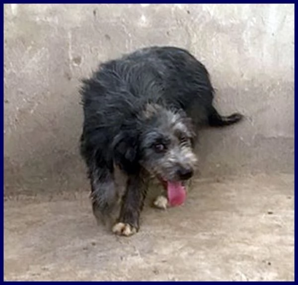 LAGUNA giovane aspetta la sua famiglia | Foto 0