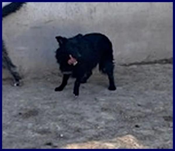 SABRINA 3-4anni una timidina