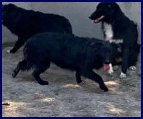 SABRINA 3-4anni una timidina | Foto 1