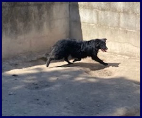 SABRINA 3-4anni una timidina | Foto 0