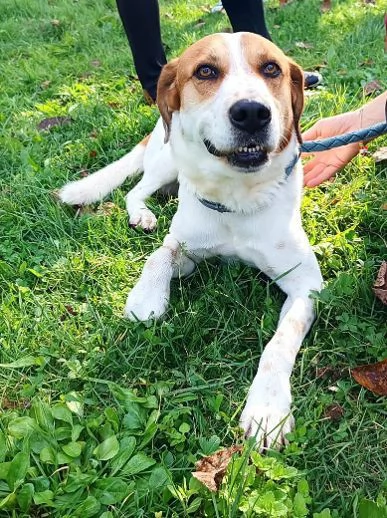 TOMMY tanto bravo!Deve finalmente trovare pace | Foto 3