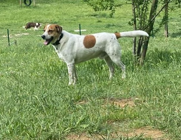 TOMMY tanto bravo!Deve finalmente trovare pace