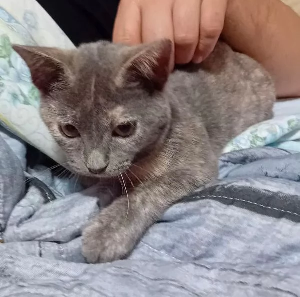 LA DOLCISSIMA TEMPESTA | Foto 6