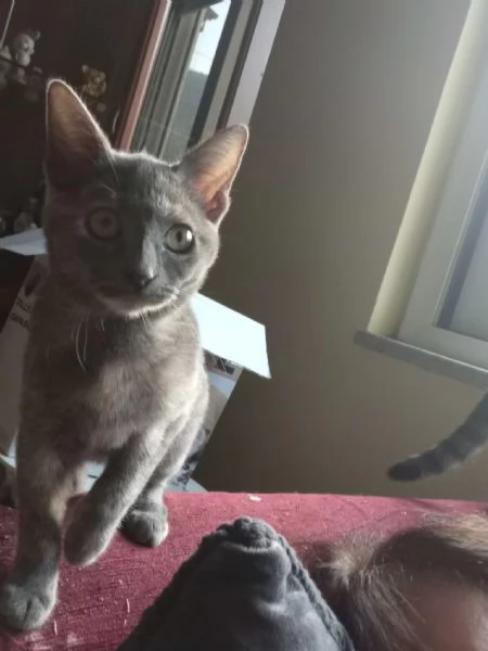 LA DOLCISSIMA TEMPESTA | Foto 3