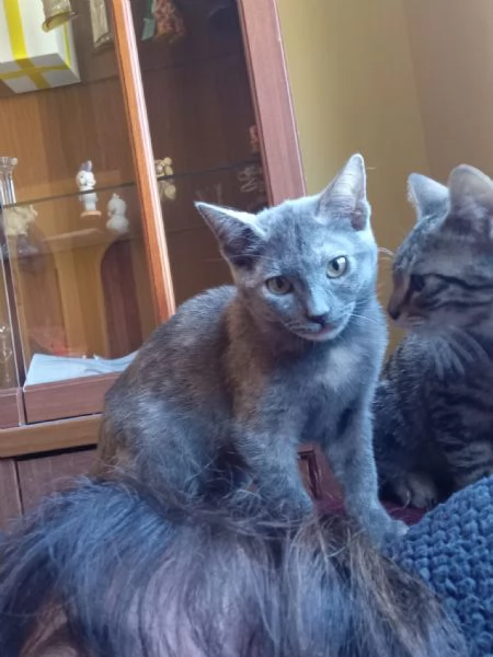 LA DOLCISSIMA TEMPESTA | Foto 2