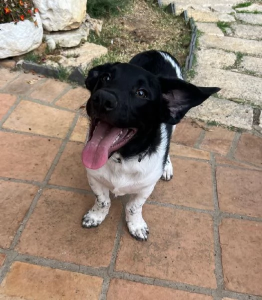 DUE TENERI FRATELLINI  | Foto 1