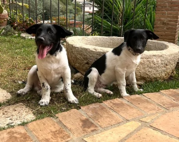 DUE TENERI FRATELLINI  | Foto 0