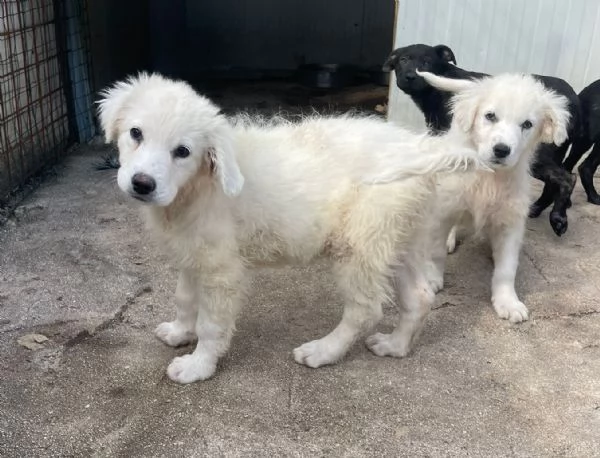 FREYA E RUNA | Foto 2