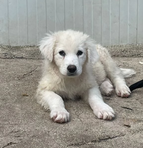 FREYA E RUNA | Foto 1