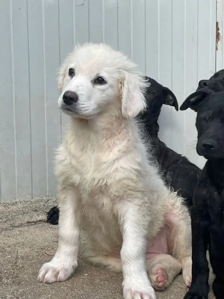 FREYA E RUNA | Foto 0