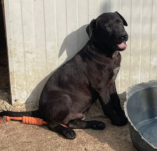 IL TENERO SIMON | Foto 4