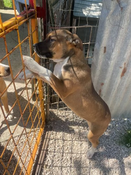 PENNY E SIRYA | Foto 2