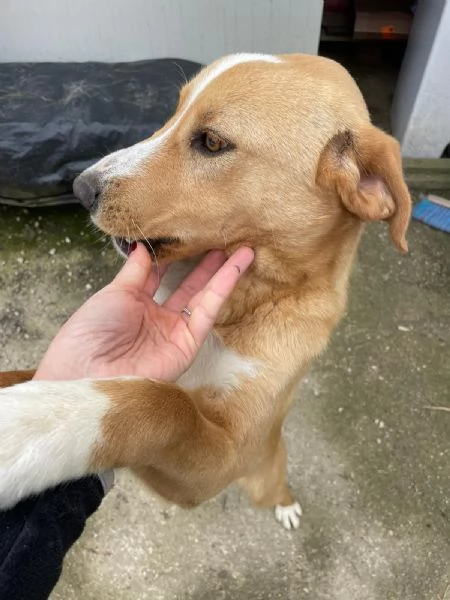 OLIVER ASPETTA TE | Foto 5