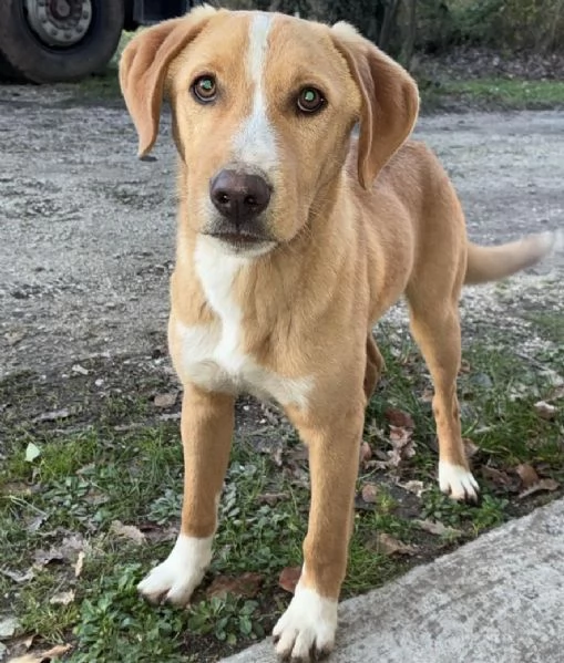 OLIVER ASPETTA TE | Foto 1