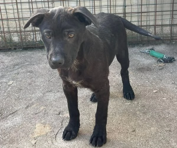 il tenero SIMON | Foto 4