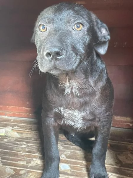 il tenero SIMON | Foto 3