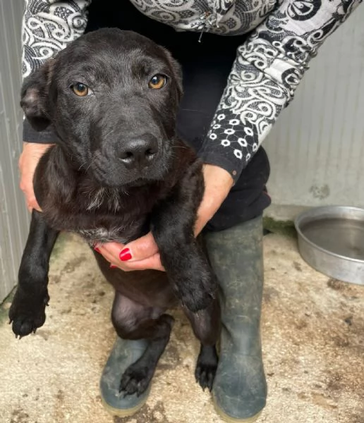 il tenero SIMON | Foto 1