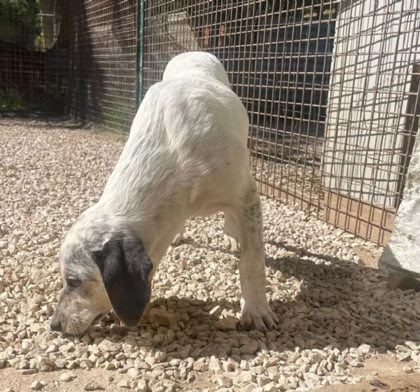 PENNY E SIRYA | Foto 4