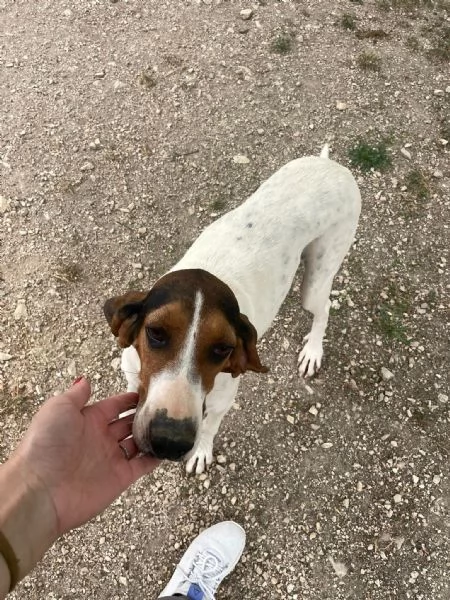 PENNY E SIRYA | Foto 3