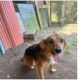 Fratello e sorella 5anni  tg media 3anni di appelli mai 1chiamata. napoli | Foto 5