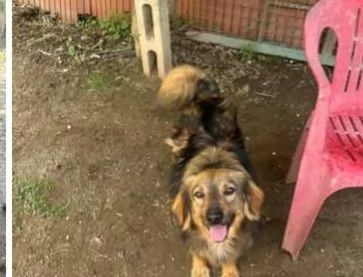 Fratello e sorella 5anni  tg media 3anni di appelli mai 1chiamata. napoli | Foto 1