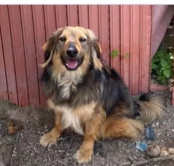 Fratello e sorella 5anni  tg media 3anni di appelli mai 1chiamata. napoli | Foto 0