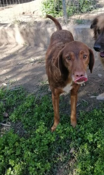 6anni tg media invisibile anonimo apriamogli il box x sempre! calabria