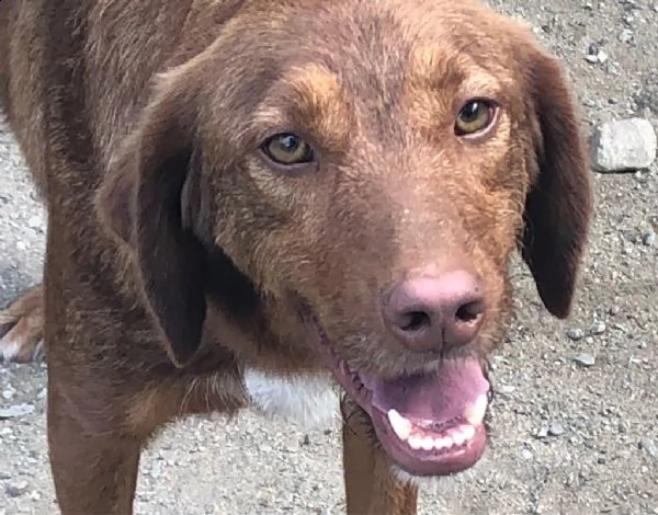 6anni tg media invisibile anonimo apriamogli il box x sempre! calabria | Foto 1