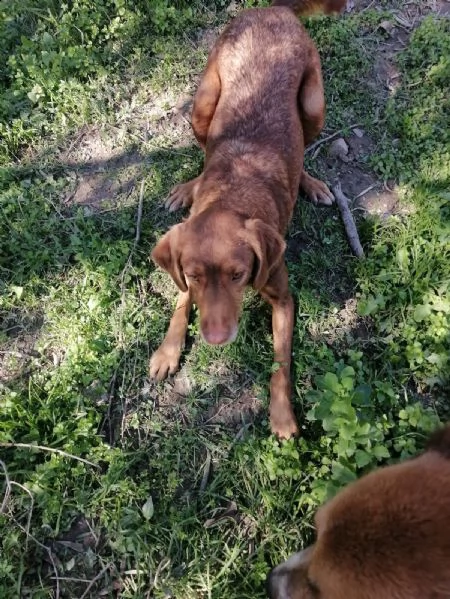 6anni tg media invisibile anonimo apriamogli il box x sempre! calabria | Foto 0