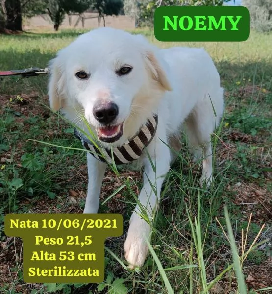 Fratello e sorella 4anni splendidi ma nessuno li nota! CALABRIA | Foto 3