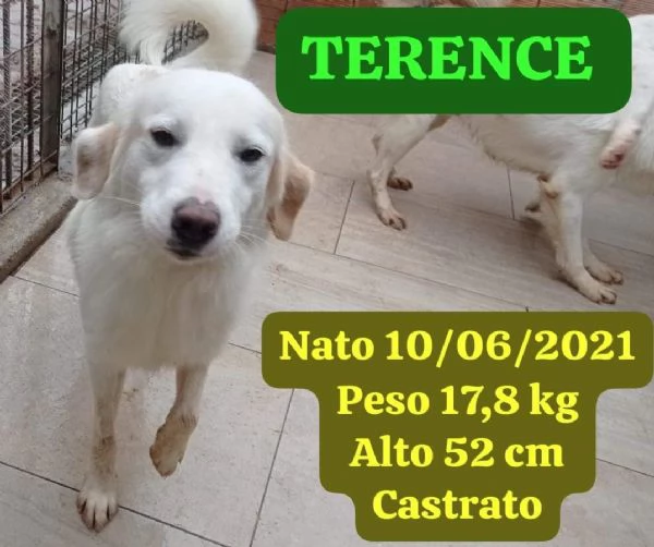 Fratello e sorella 4anni splendidi ma nessuno li nota! CALABRIA | Foto 0