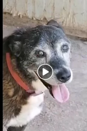 Lady 12anni aspetta da sempre!NAPOLI SOS