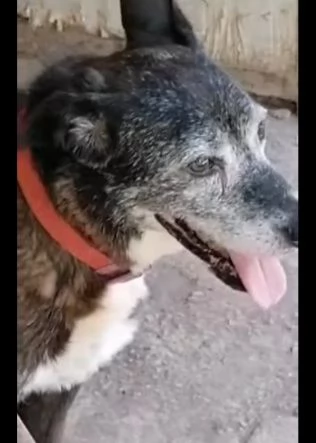 Lady 12anni aspetta da sempre!NAPOLI SOS | Foto 4