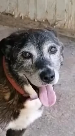 Lady 12anni aspetta da sempre!NAPOLI SOS | Foto 2
