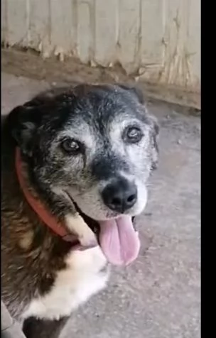Lady 12anni aspetta da sempre!NAPOLI SOS | Foto 1