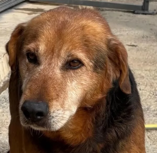 4anni tg media uscito dal box solo x le foto.SICILIA