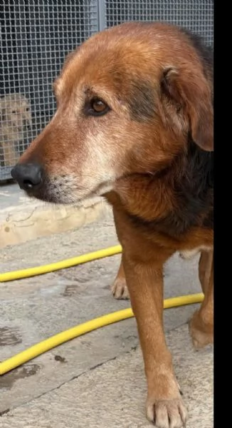 4anni tg media uscito dal box solo x le foto.SICILIA | Foto 1