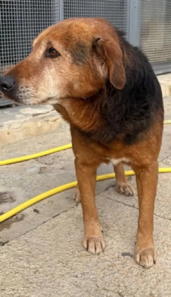 4anni tg media uscito dal box solo x le foto.SICILIA | Foto 0