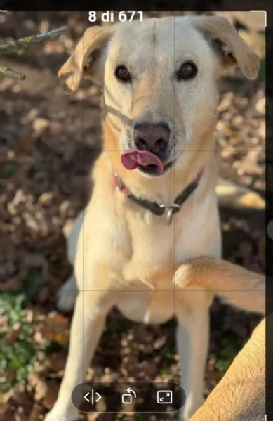 Vasco 4anni non ha mai avuto una casa MILANO