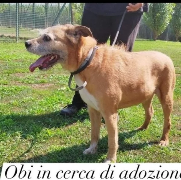 Maschio 11anni medio piccolo padrone [hidden]