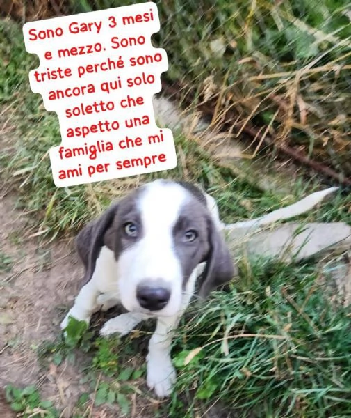 Gary 4mesi IN ARRIVO A MILANO URGENTE 