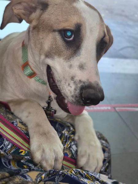 Giada e Gioia 7 e 6mesi INVISIBILI. HELP CATANIA | Foto 6