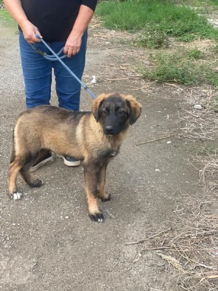 Brunella e Oliver sui 4mesi meravigliosa. MESSINA