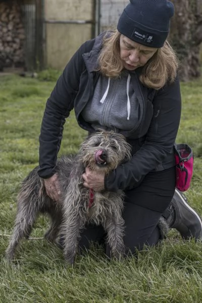 ARAMIS, meticcio furbetto in adozione | Foto 4