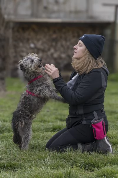 ARAMIS, meticcio furbetto in adozione | Foto 3
