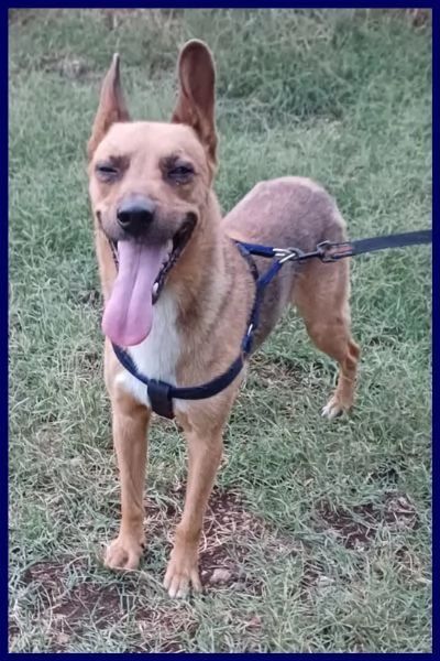 ZAK tenero piccoletto hanno rinunciato a lui | Foto 2